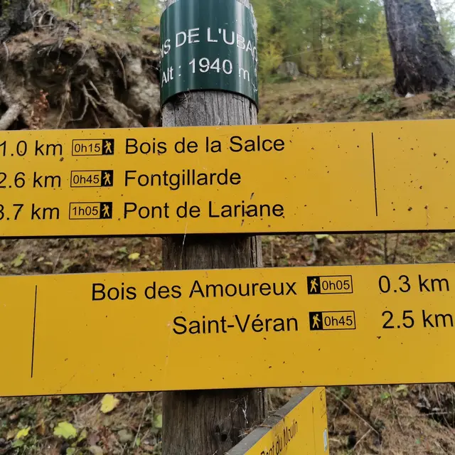 Le Bois des Amoureux_Molines-en-Queyras