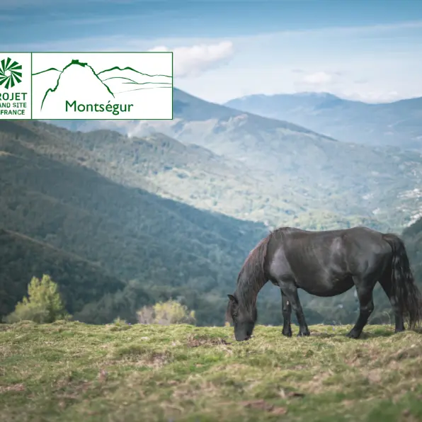 Descente des Gorges de la Frau avec les chevaux de mérens_Fougax-et-Barrineuf