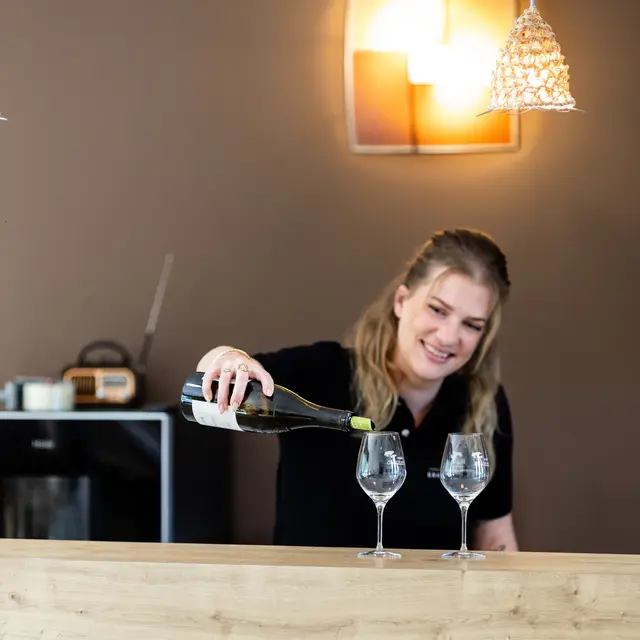 Une journée au coeur de nos vignobles, entre Ventoux et Dentelles avec déjeuner inclus_Mazan