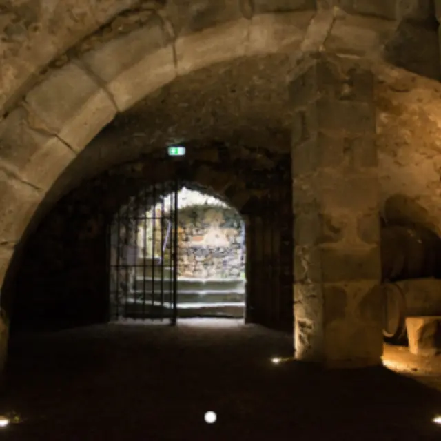 Soirée Œnologie dans les caves du Château_Montrond-les-Bains