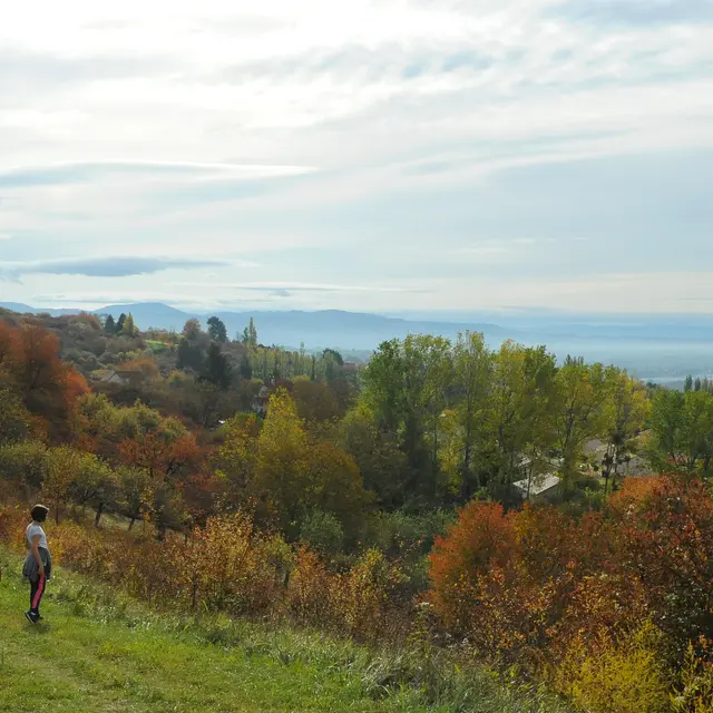 Vue sur la plaine au Vernet