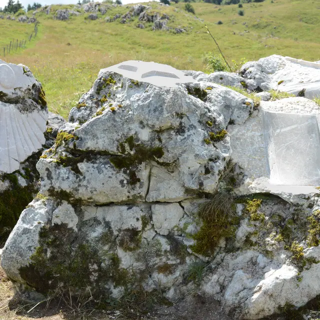 Symposium de sculpture_Plaine-Joux