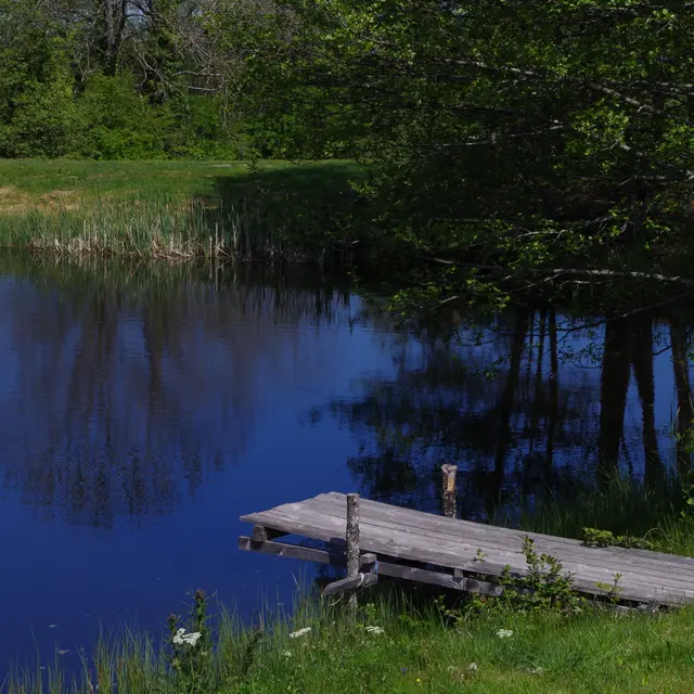 L'étang du Charrais à Lavoine