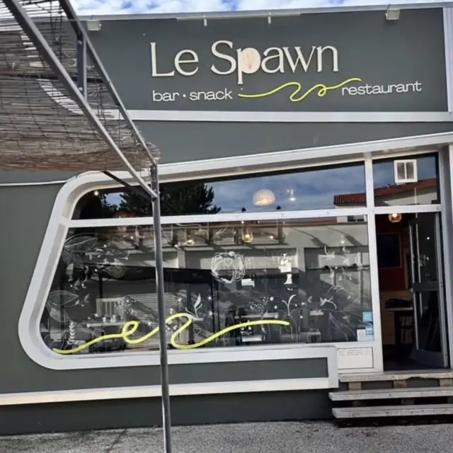 Le Spawn_Montbrison