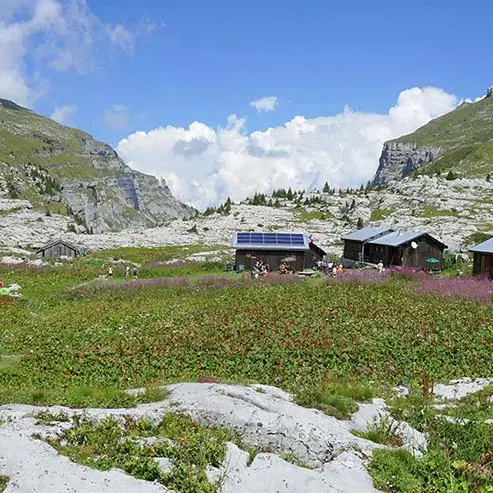 Temps d'échange et d'observation de la nature_Sixt-Fer-à-Cheval