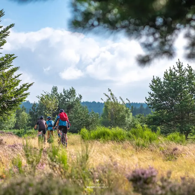 Paysage au plateau de la Verrerie