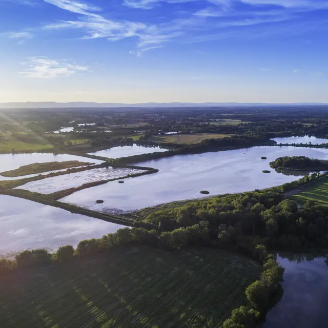 La Dombes, terre d'étangs_Villars-les-Dombes