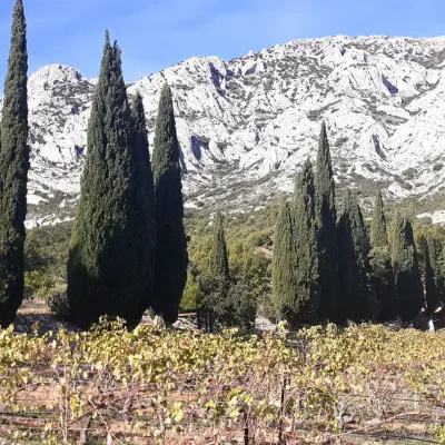 Vignobles et Terroir Aixois