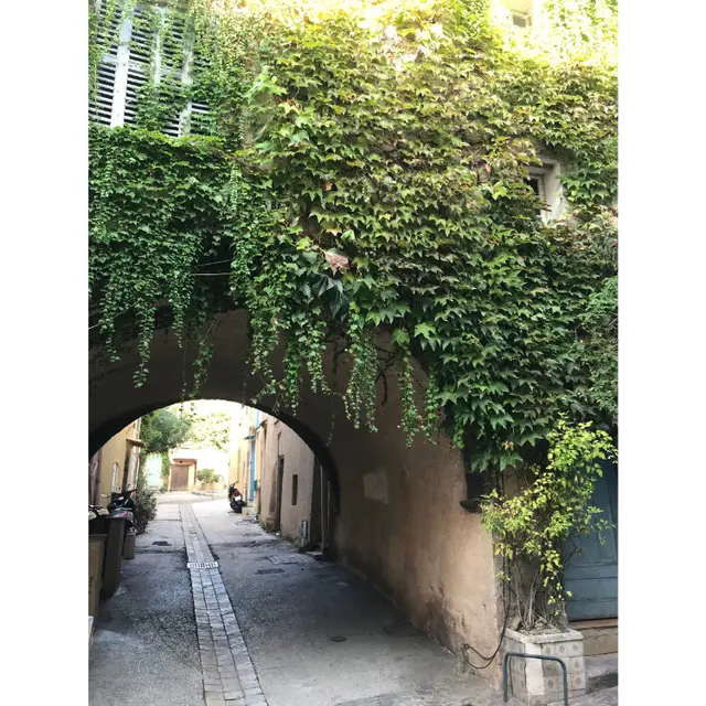 Les porches