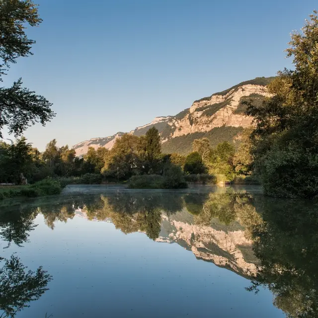 Marais de Montfort