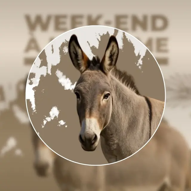 Week-end à la ferme au Zoo de Sanary_Sanary-sur-Mer