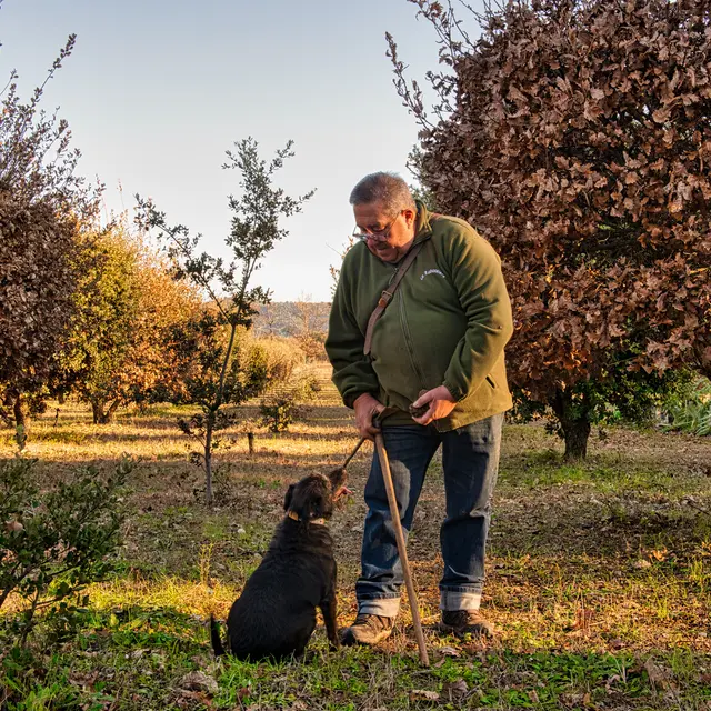 Jean-Marie Dutto - Trufficulteur_Rustrel