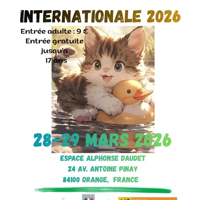 Exposition féline_Orange