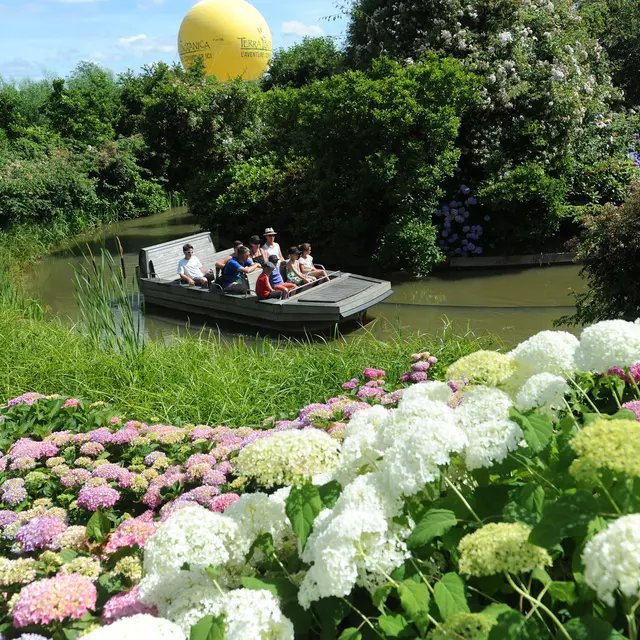 Terra Botanica