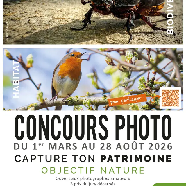 Concours photo - Capture ton patrimoine : Objectif nature_Lambesc