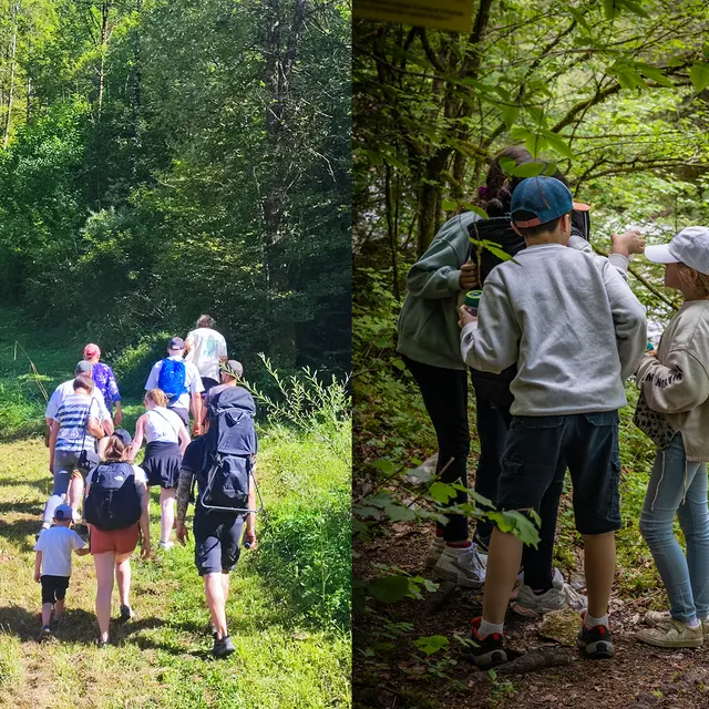 Animation découverte de la forêt_Thônes