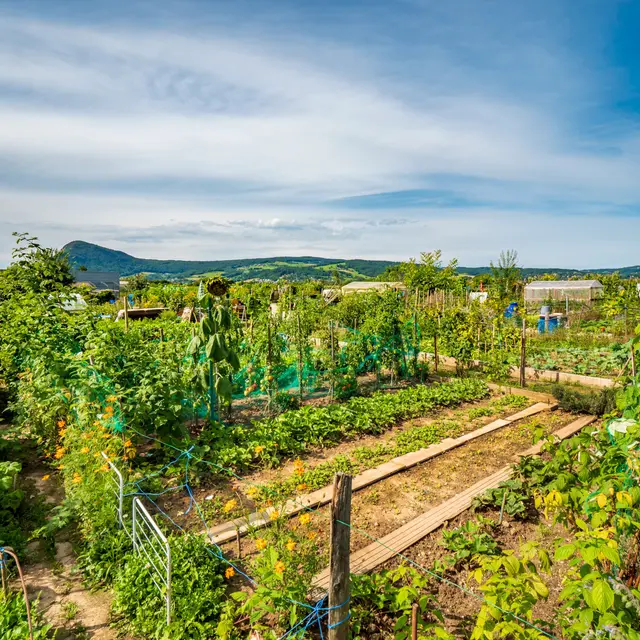 Atelier pratique : faire son jardin de A à Z_Annecy