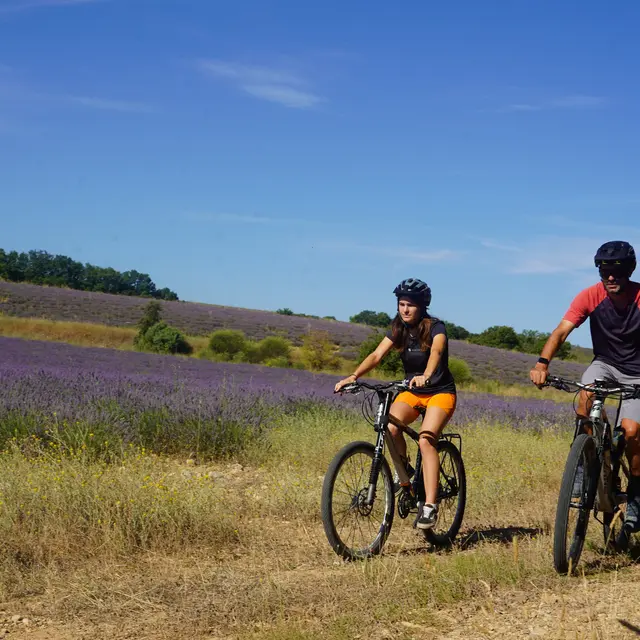 Site VTT FFC-Pays d'Oraison-Coeur de Durance-Circuit 2-Bleu-Oraison_Oraison