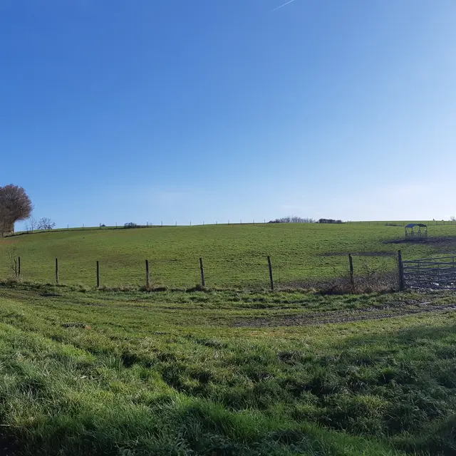 Sur les chemins de St Didier d'Aussiat