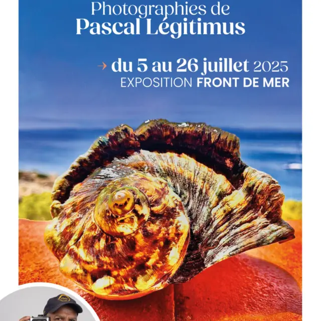 Exposition en plein air : « Trésors marins » de Pascal Légitimus_Le Lavandou