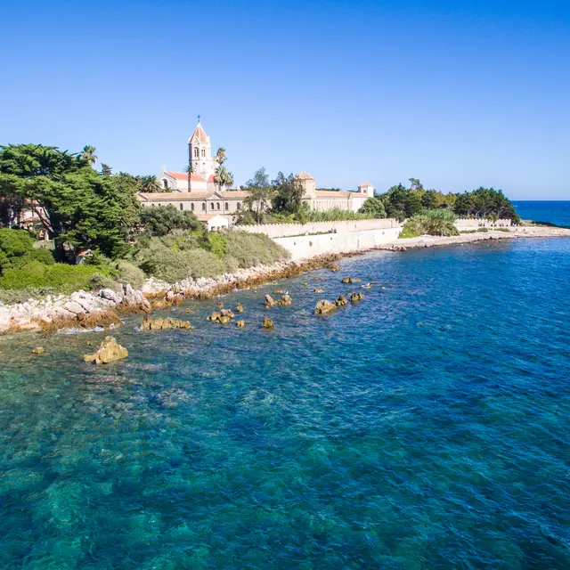 Plages autorisées aux chiens - île Saint-Honorat_Cannes