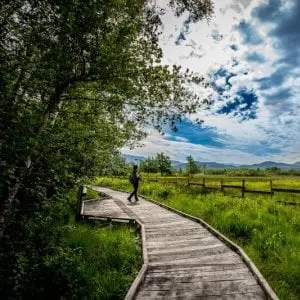 Visite guidée de la Réserve Naturelle du Marais de Lavours_Ceyzérieu