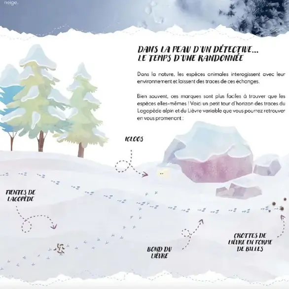 Exposition « Sur les traces des espèces blanches »_Le Monêtier-les-Bains