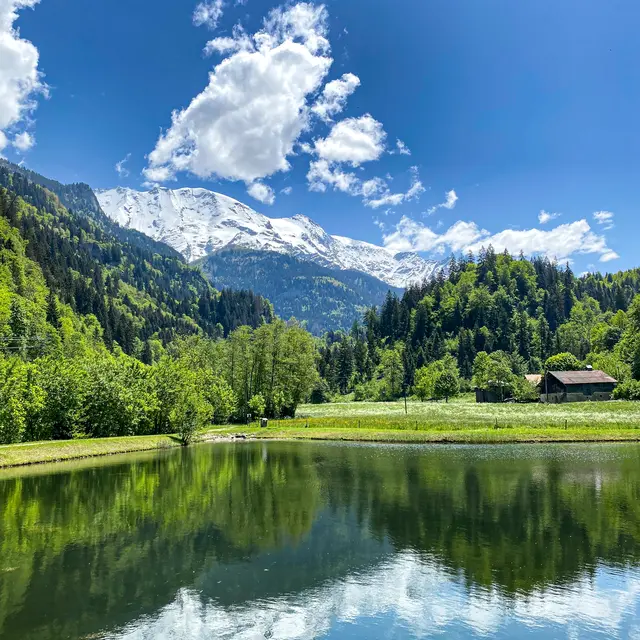Lac de pêche du Vivier