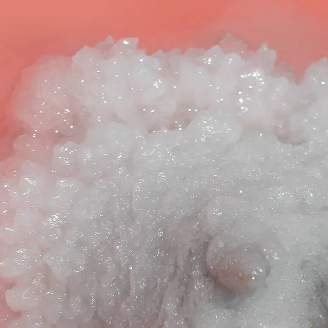 Exposition Avec ou sans sel ?_Arles