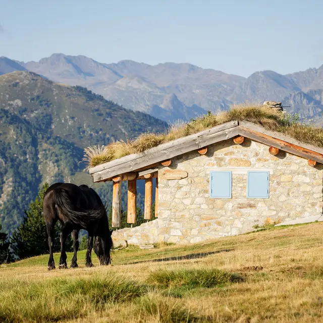 vue_Beille_ete_cabanes_cheval_de_mérens