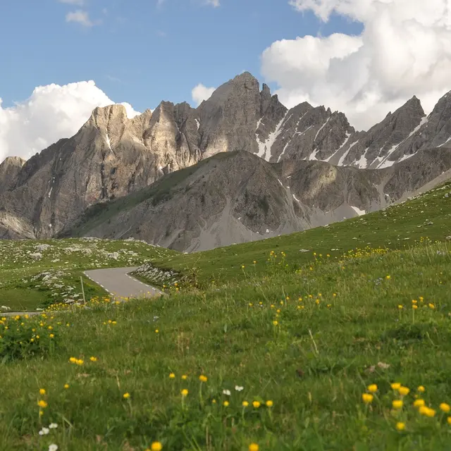 Aiguilles de Pelens sommet Col des Champs