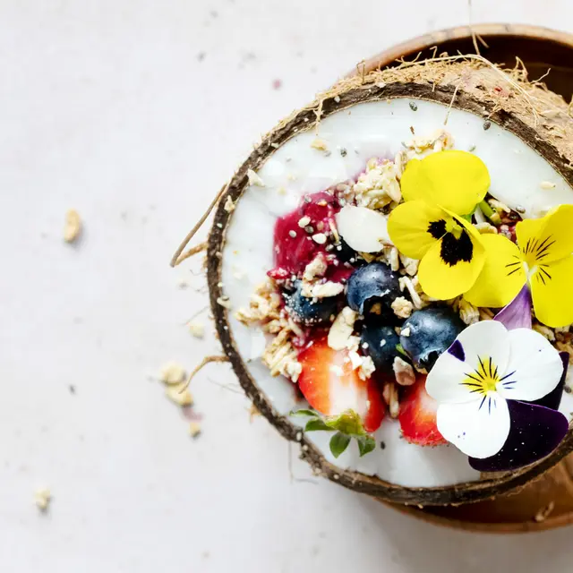 Balade nature : les fleurs comestibles_Avignon