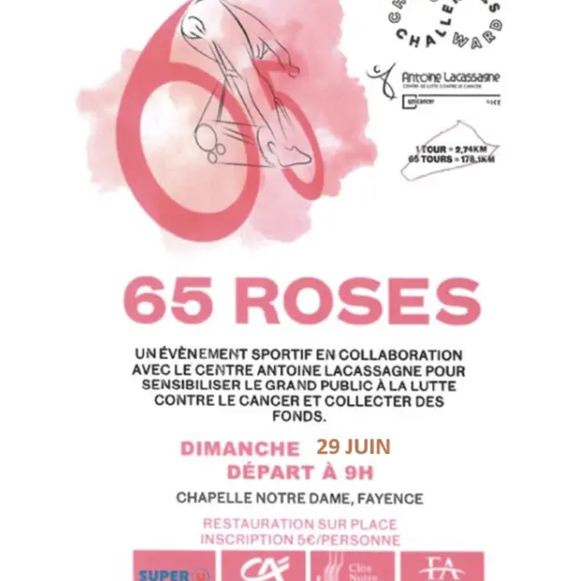 65 Roses_Fayence