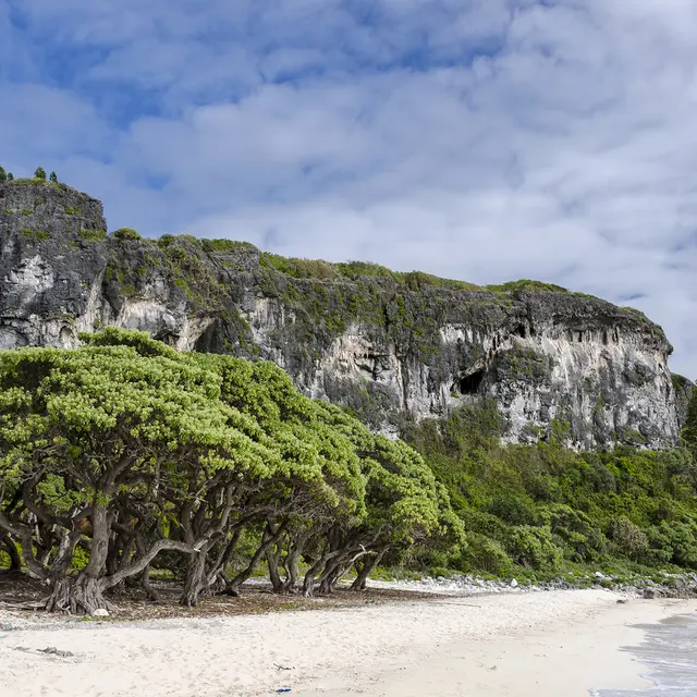 Plage de Léone