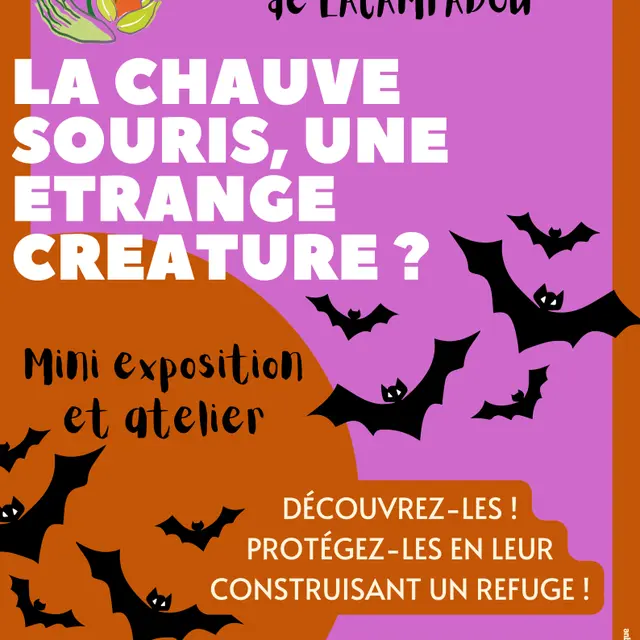 Affiche événement