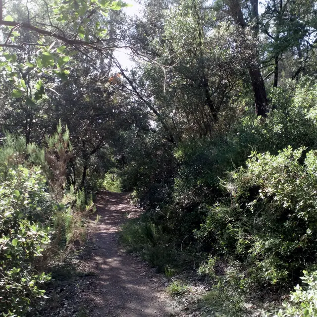 Circuit des Collines_Gardanne