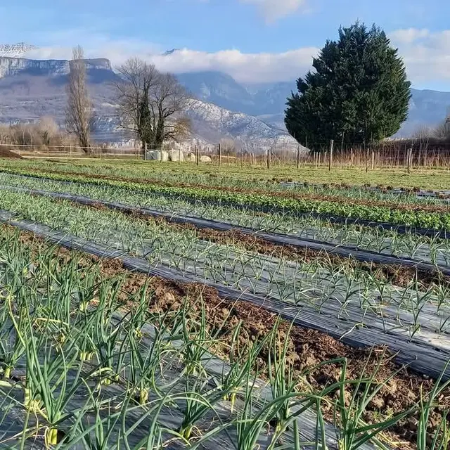 Portes ouvertes au GAEC La Amapola