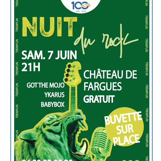 8ème Nuit du Rock_Le Pontet