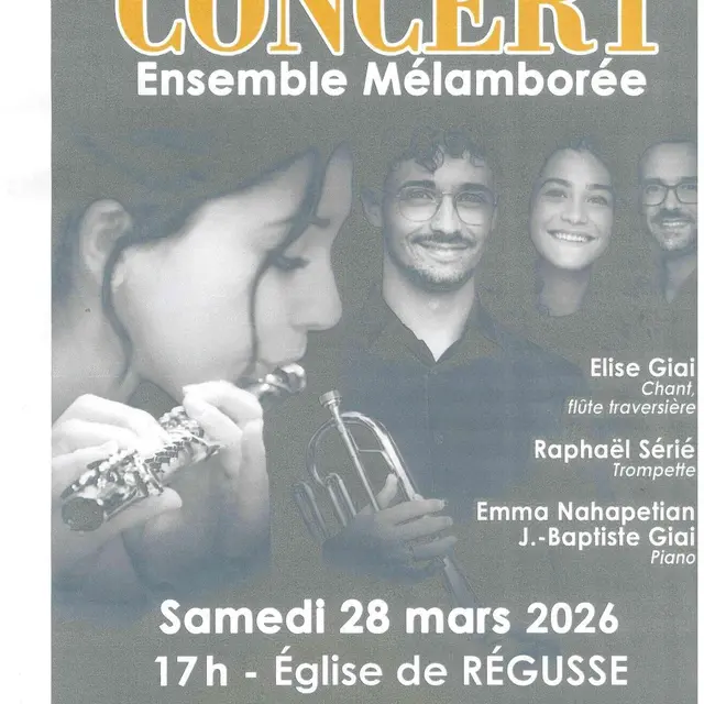 Concert Ensemble Mélamborée