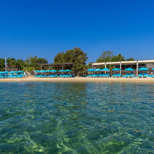 Le 6 Plage