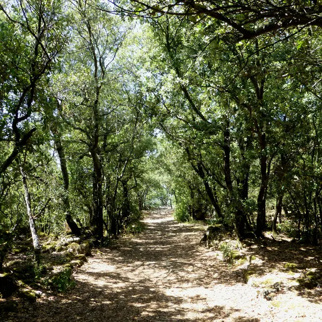Le tour du plateau de Ganagobie