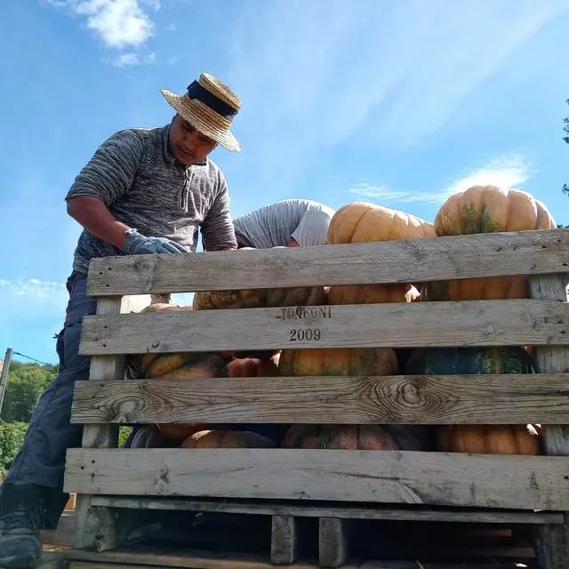 le potager de saint antoine