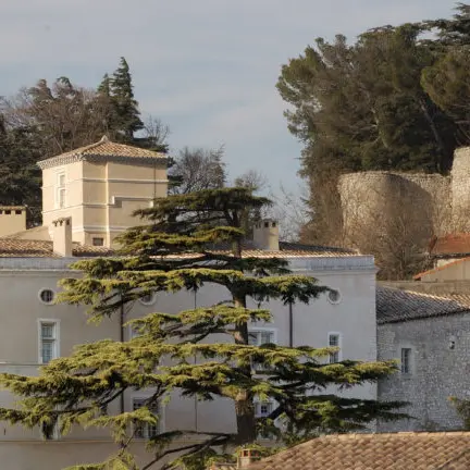 Visite du parc du château de Donzère_Donzère