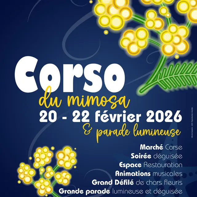 Corso du Mimosa_Cavalaire-sur-Mer