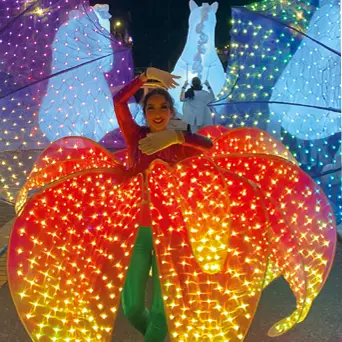 Lancement des illuminations et parade lumineuse_Istres