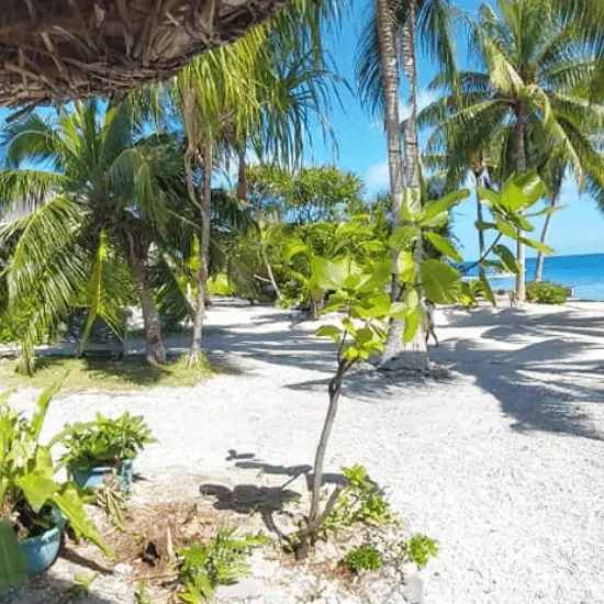 Pension Chez Glorine - Tahiti Tourisme