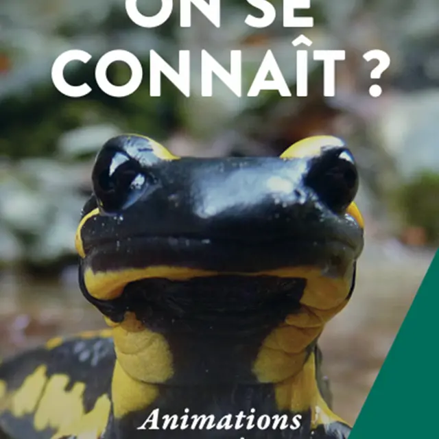 Rendez-vous nature : une ferme de roses_Bédoin
