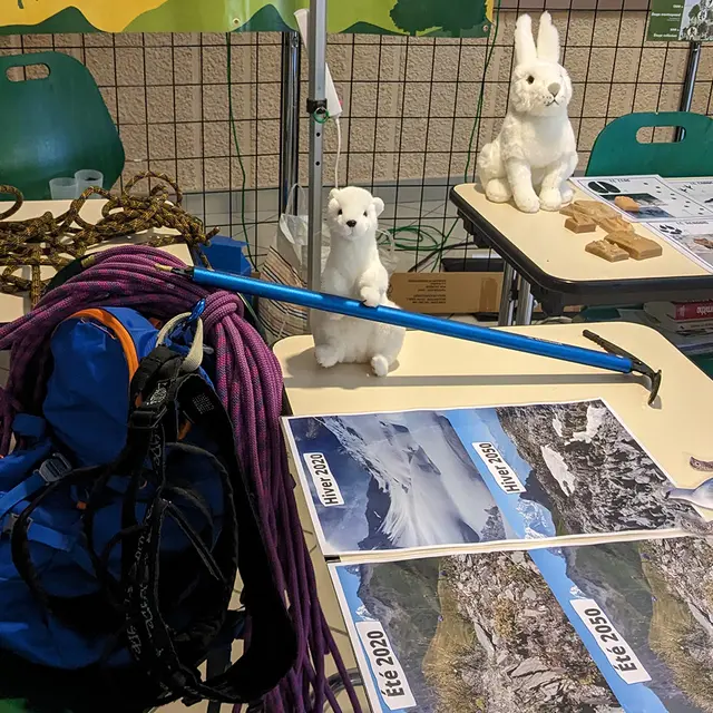 Atelier : Fonctionnement des glaciers