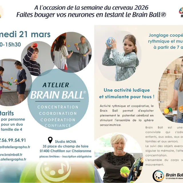 Infographie Brain Ball