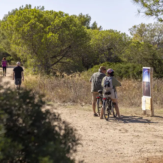 salins_pesquiers-voie_douce_OP_17